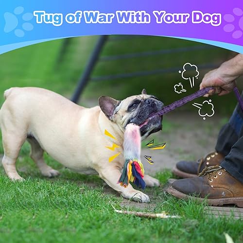 Miniatura 5 de Juguetes de cuerda para perros, juguetes de cuerda para perros casi indestructibles con chirrido fuerte, juguete interactivo ideal para