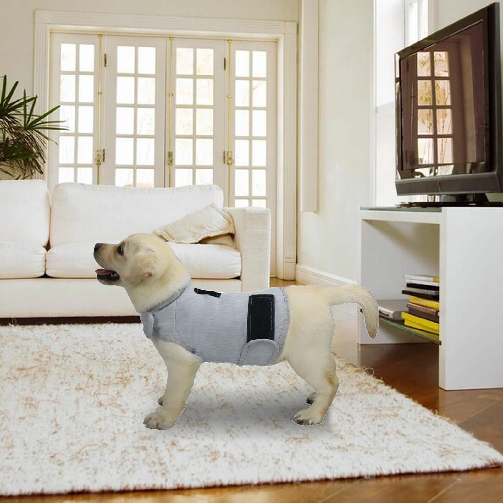 Giacca per l'ansia per cani cappotto calmante tuono per cani avvolgente per alleviare l'ansia gilet con striscia riflettente per animali domestici mantenere calmante comfort sollievo dallo stress