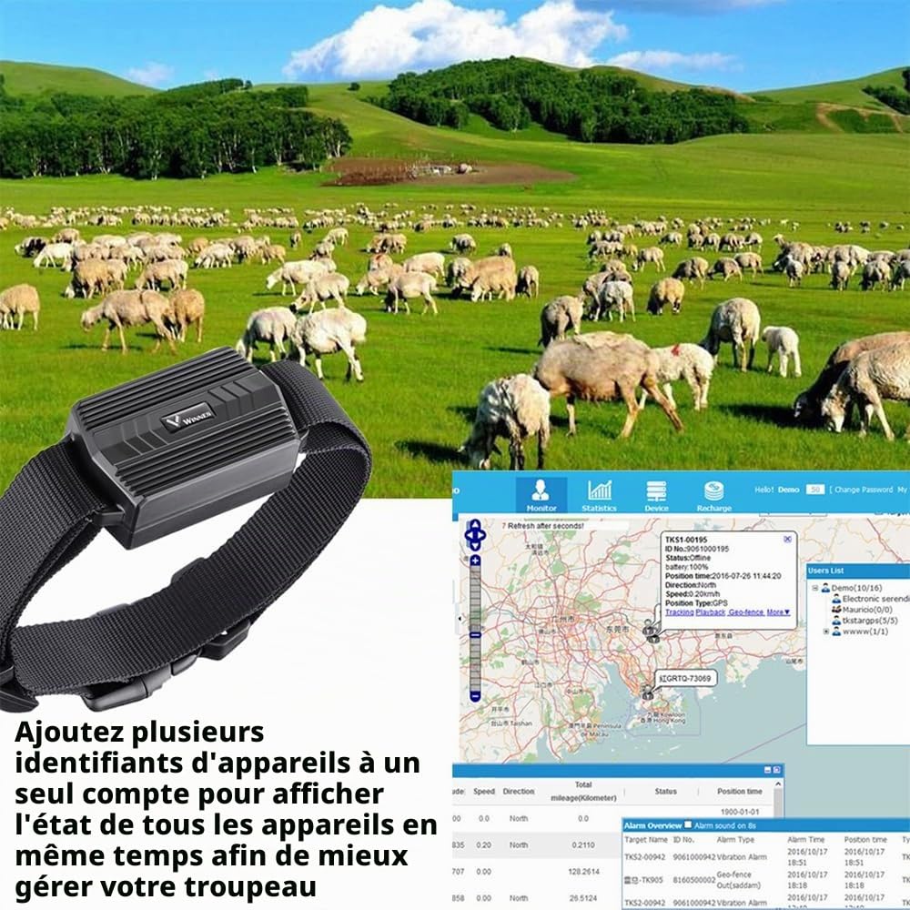 TKMARS Traceur GPS 4G pour Grands Animaux (Chiens de Chasse, Chevaux, Bétail) | Collier GPS Étanche IP66 | Suivi en Temps Réel et Historique | Autonomie 30 Jours | Alerte Geo-Clôture TK935