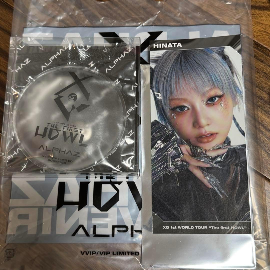 田宮ランチBOX改 ブラシレス仕様 改造多数 キズ多し 【公式通販】