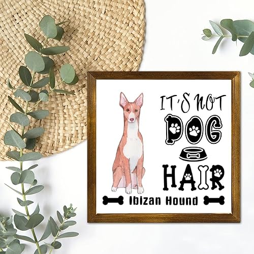 Vista 191 de Letrero de madera con texto en inglés «It's Not Dog Hair» («It's Not Dog Hair» American Bully Dog Dog), regalo decorativo para la pared del hogar