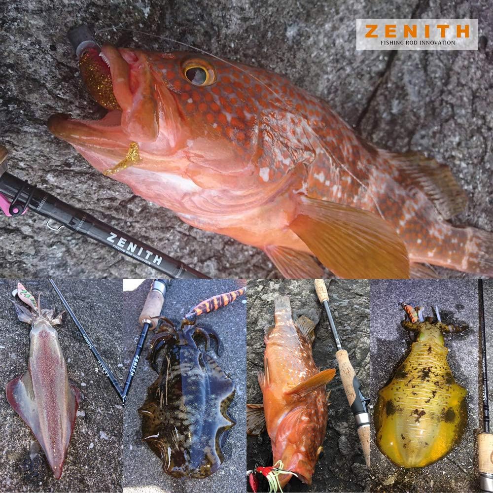 Amazon Zenith ゼニス キャスティングロッド Schlem シュレム スピニングモデル Zenith キャスティングロッド