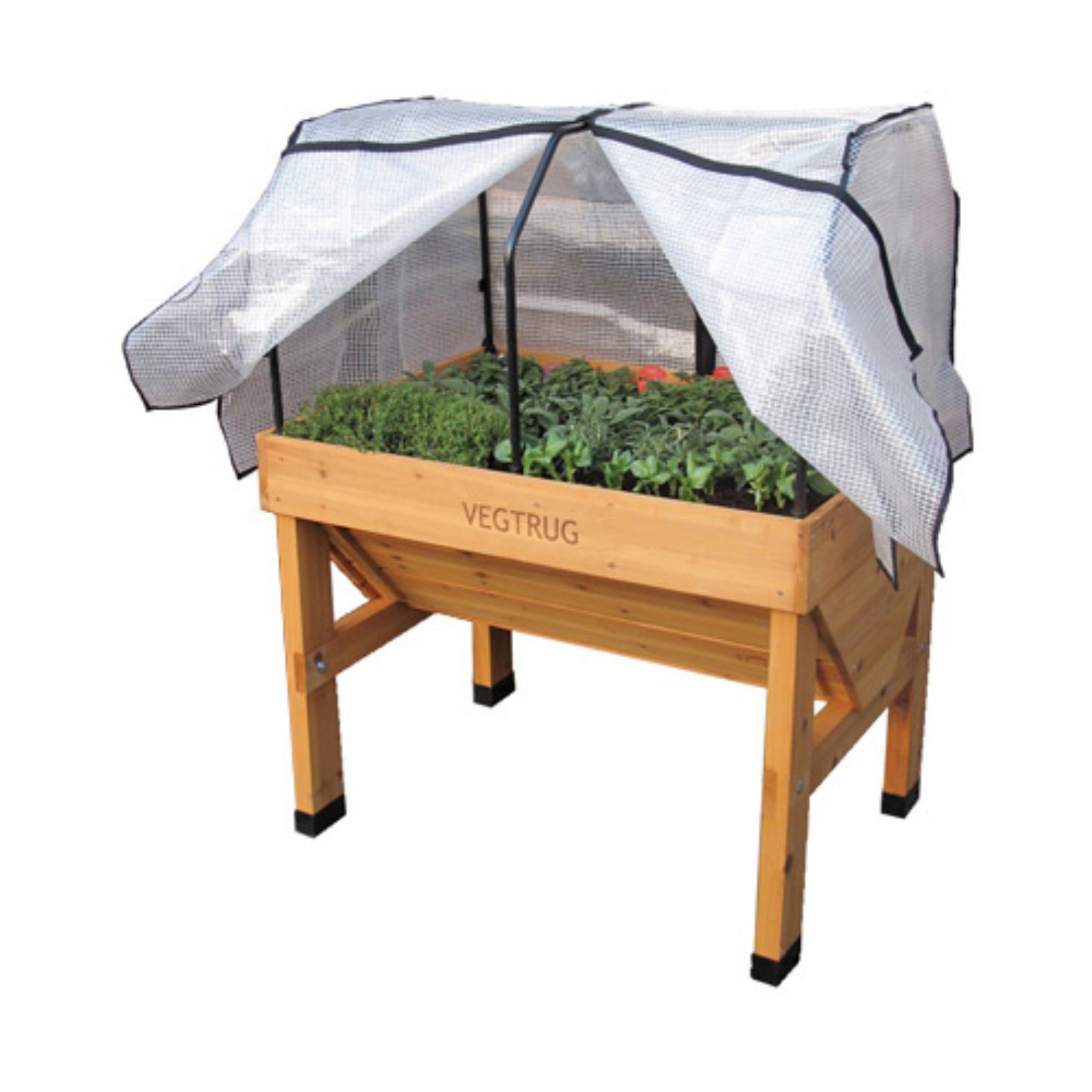 VegTrug Gewächshaus-Set Mit Insektenschutz – Kleiner Rahmen, Polyethylen-Abdeckung & Mikronetz, Weiß