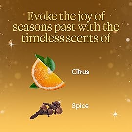 Glade PlugIns Refills Air Freshener, Orange Zest & Clove, Scented and Essential Oils for Home and Bathroom, 0.67 Fl Oz, 5 Count