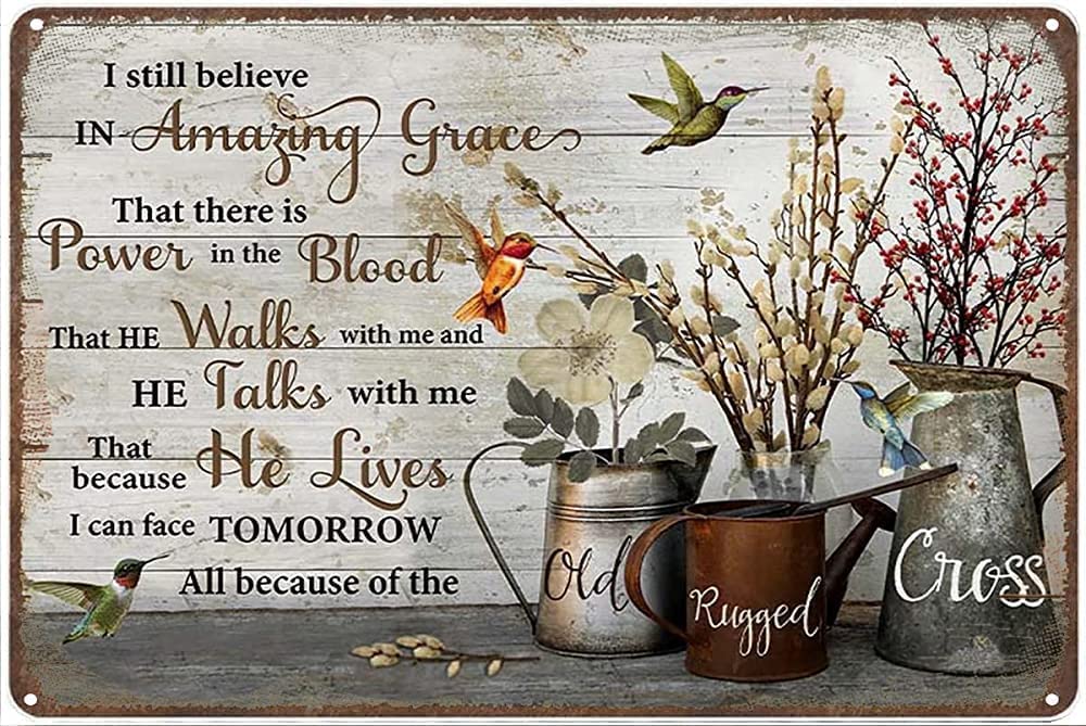 Beautiful Hummingbird I Still Believe in Amazing Grace Metal Tin Sign Novelty Coffee Bar Halloween Christmas Wall Poster 8x12 Inch