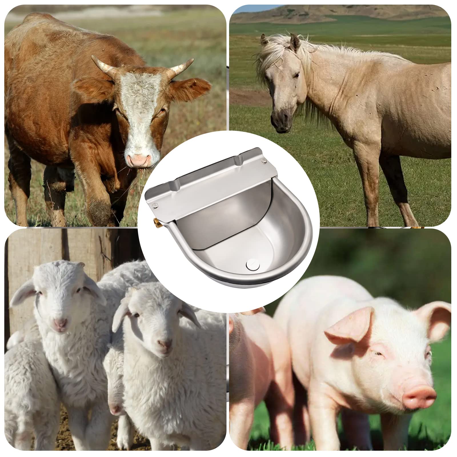 Bebedero para Caballos de Acero Inoxidable con VáLvula de Flotador de LatóN Ajustable de 1/2 "Y Orificios de Drenaje para Caballos, Vacas, Cerdos, Cabras, Ovejas, Bebederos para Perros