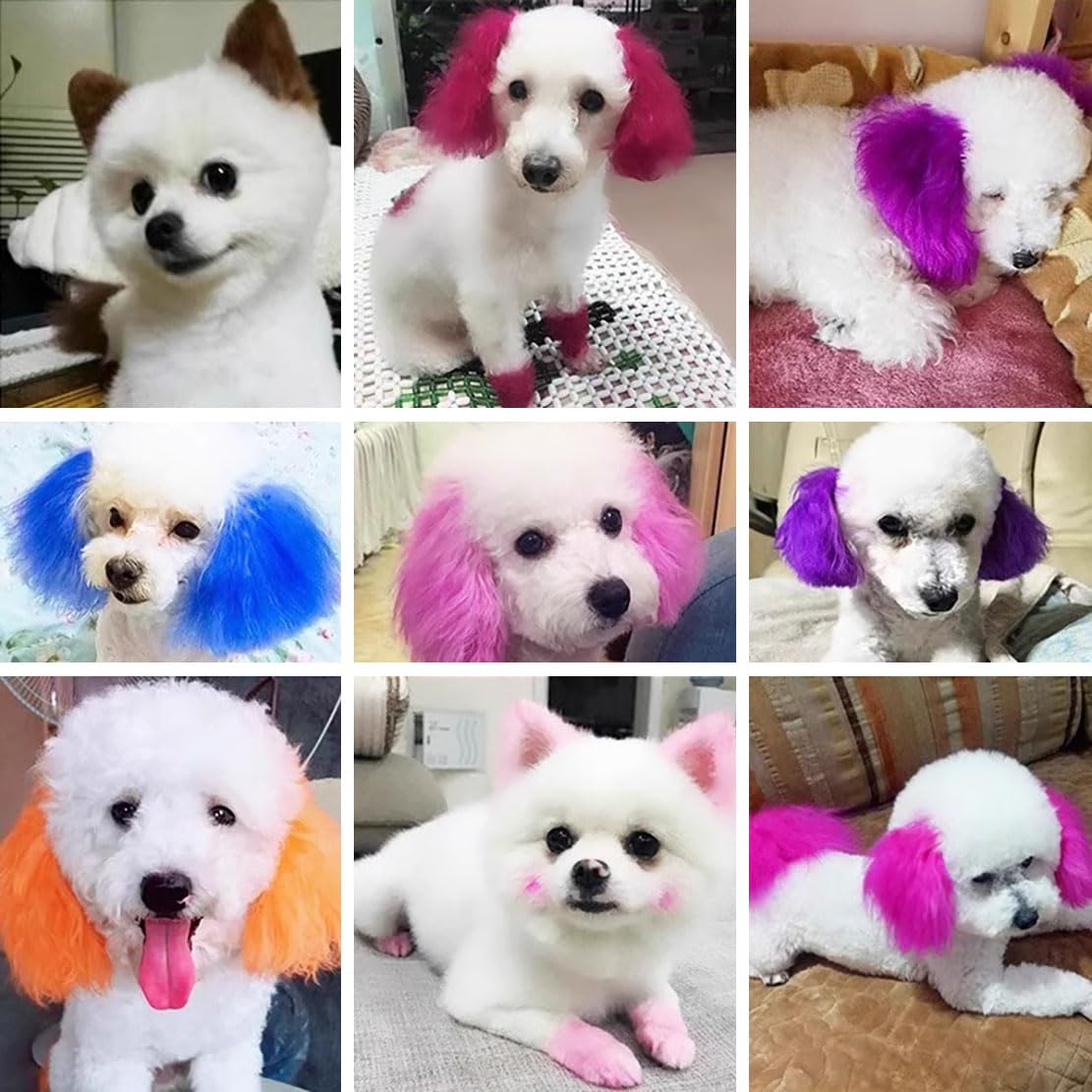 Pet Colorante per Pelo, Tintura Professionale per Animali con Fragranza alla Frutta, 12 Colori Vibranti, Formula Delicata e Duratura, per Cani e Gatti (01# black)