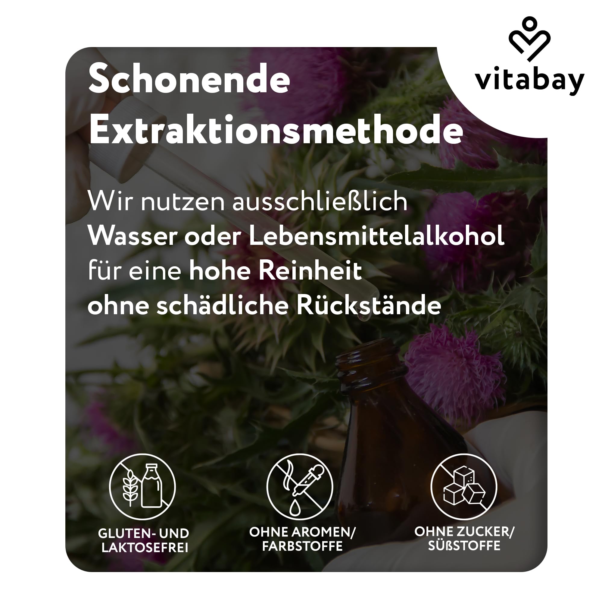 Vitabay Mariendistel-Artischocke-Löwenzahn Komplex – 270 vegane Kapseln
