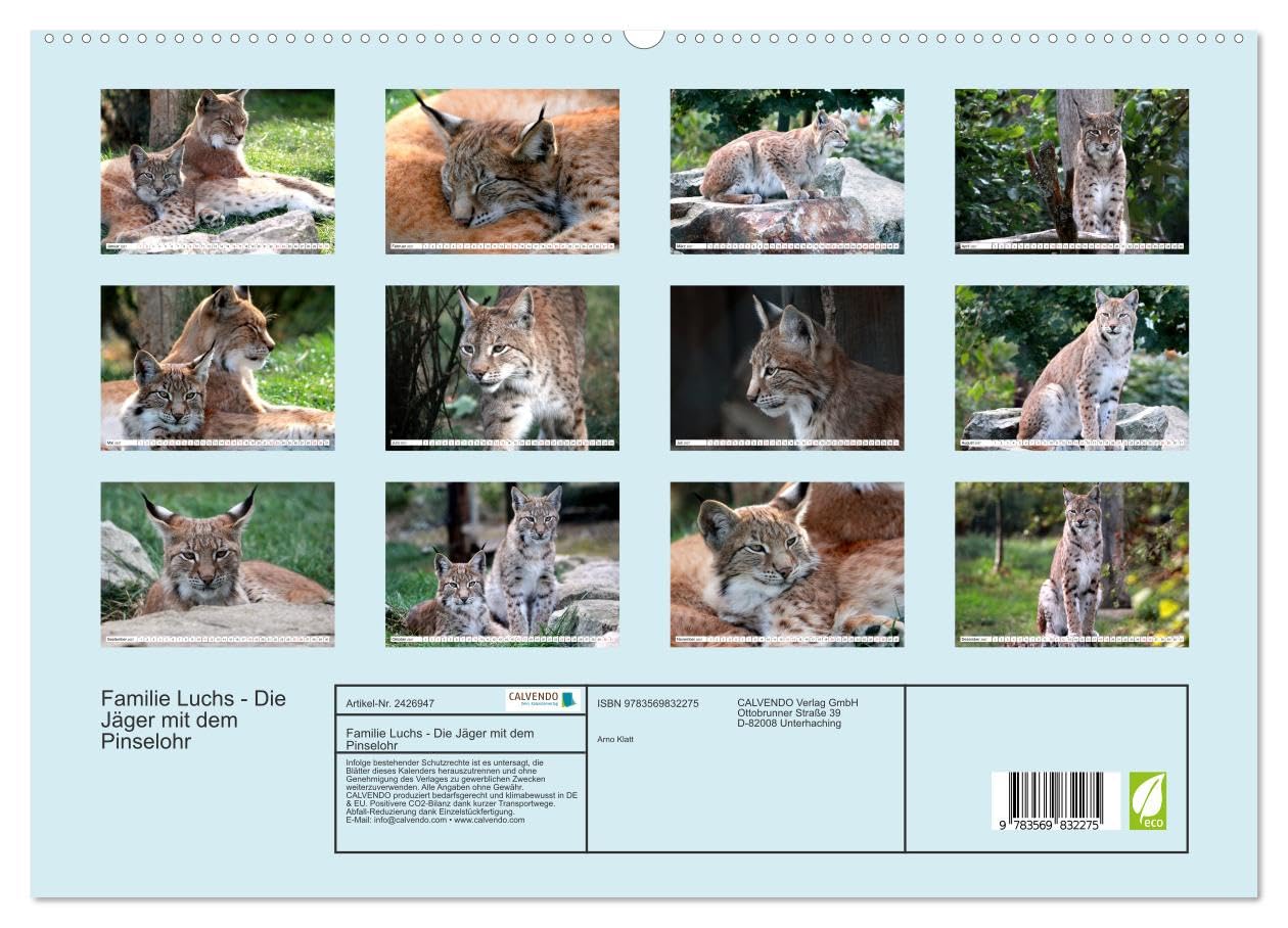 CALVENDO - Familie Luchs - Die Jäger mit dem Pinselohr (hochwertiger Premium Wandkalender 2027 DIN A2 quer), Kunstdruck in Hochglanz: Im Leben einer Luchsfamilie