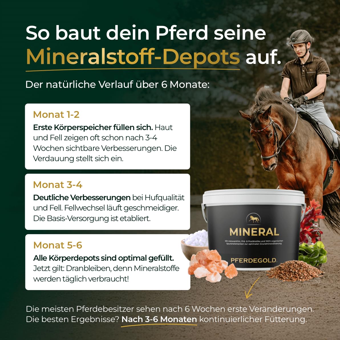 Mineral 2.0 1,5kg - Pellets mit Chelat-Spurenelementen - hohe Bioverfügbarkeit - Prä- & Probiotika - 100% melassefrei - dopingfrei - Made in Germany