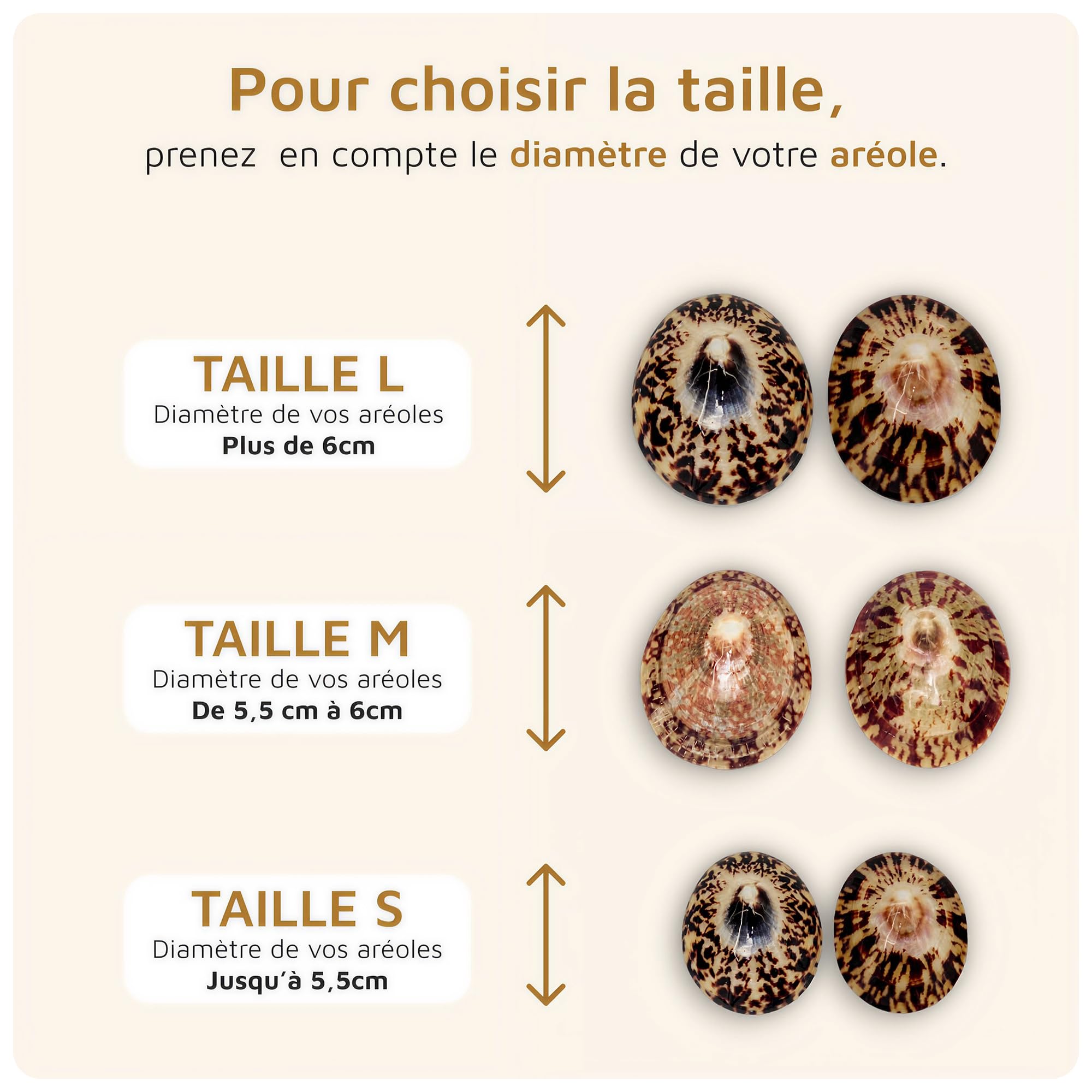 Bébé Nacre Coquillages Allaitement 100% Naturels, Atelier Français Artisanal, Protection Cicatrisation mamelons, Apaise Soulage les crevasses, Coupelles Écologique et Réutilisable, Nacre, (Medium)