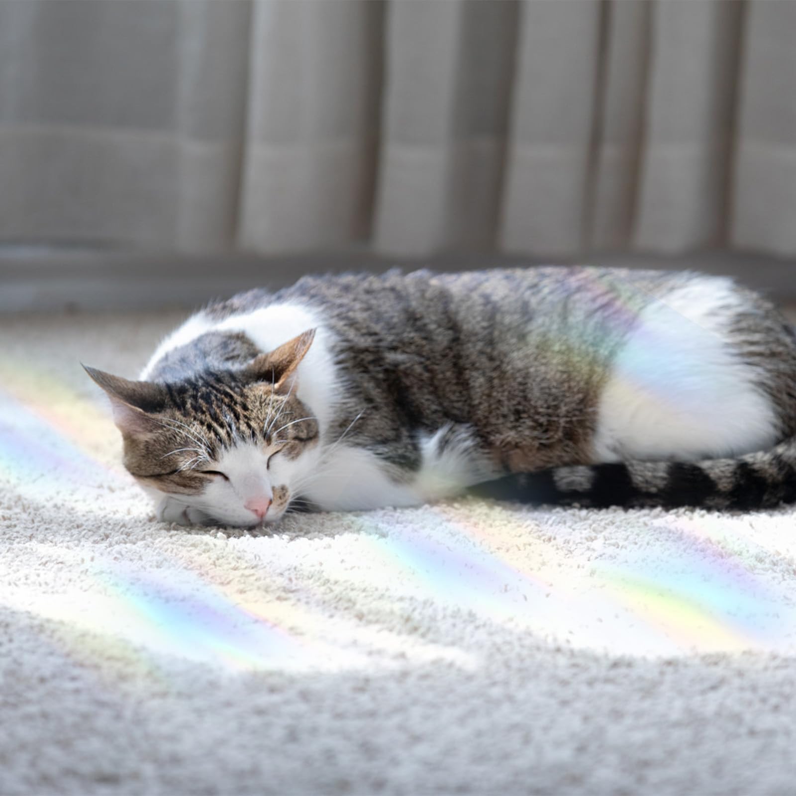 24pcs Autocollant Oiseaux Vitre Anti-Collision Colibri Arc-En