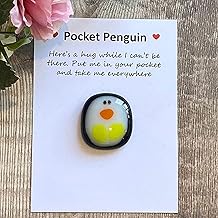 A Little Pocket Penguin Hug, Mini Cute Animal Decoration Funny Pocket Hug Penguin Stress Relief Toy with Card, Unique 2026 Gifts Special Encourage for Teens, Gifts for Him Her Boyfriend Girlfriend