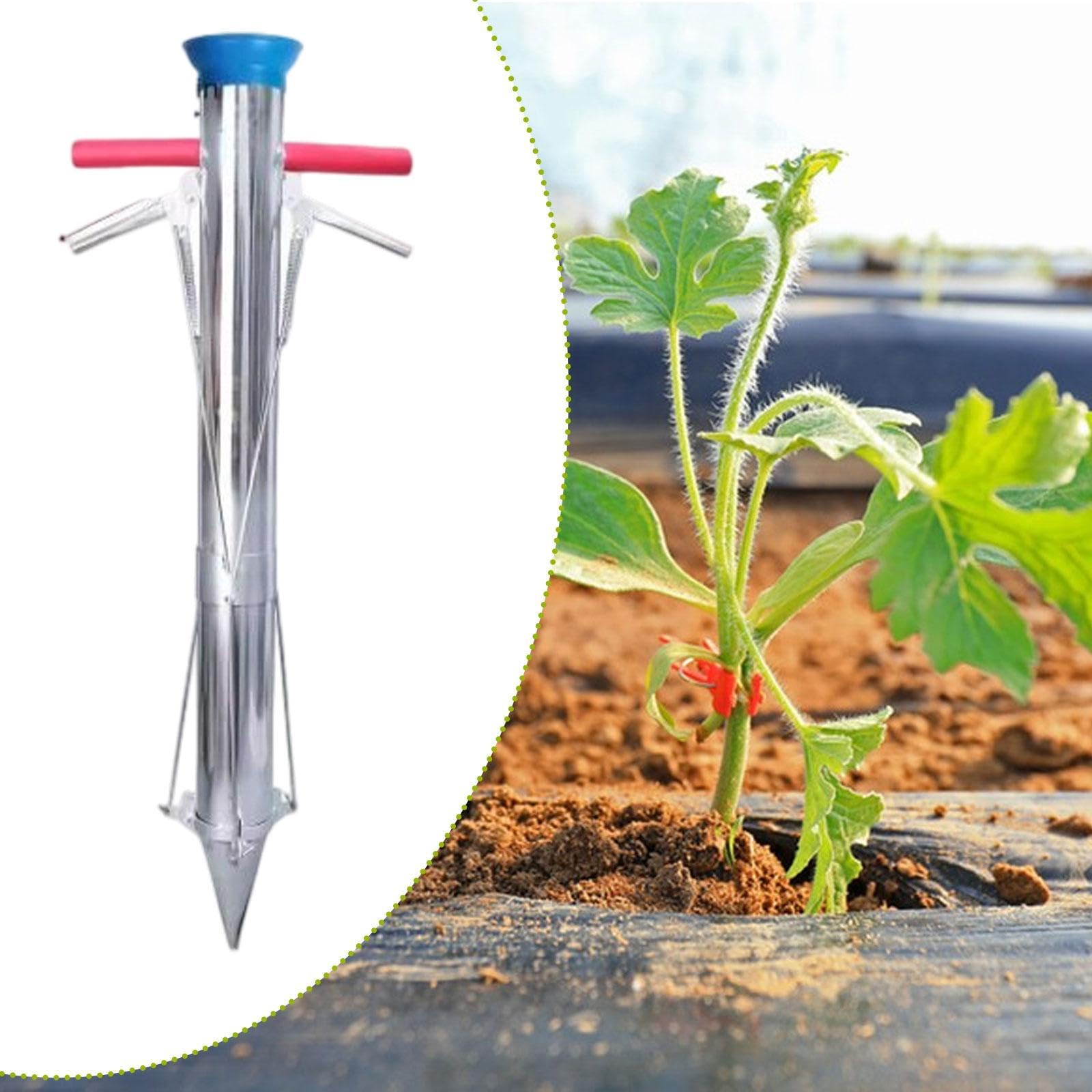 Zwiebelpflanzer Gartenwerkzeug Pflanzwerkzeug Setzlingstransplanter Unkrautstecher mit Ergonomischem Griff Aus Edelstahl für Gemüseanbau Balkon Gärten, Doppelgriff