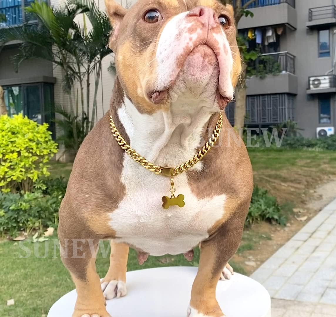 SUNEW Medium Dogs Training Collar with Dog Tag Design Secure Buckle Cuban Link Chain Collar Heavy Duty Chew Proof Strong image 2