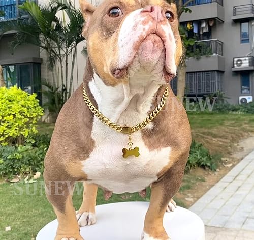 Miniatura 5 de SUNEW Collar de cadena de metal para caminar con diseño de etiqueta de perro, hebilla segura, collar de cadena de eslabones cubanos resistente a