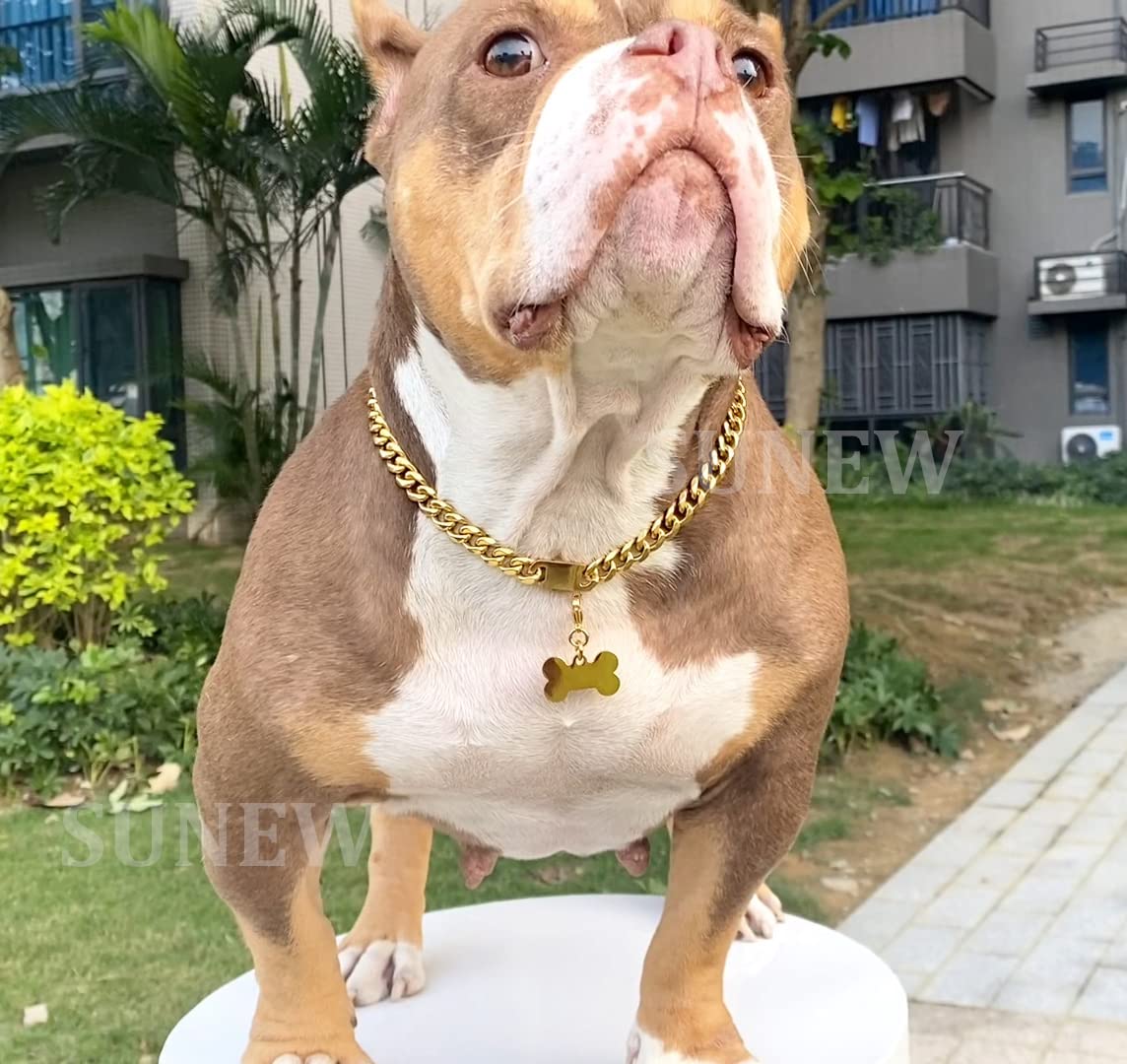 SUNEW Medium Dogs Training Collar with Dog Tag Design Secure Buckle Cuban Link Chain Collar Heavy Duty Chew Proof Strong