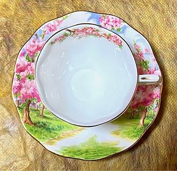 Royal Albert Blossom Time Cup & Sosa 1 Guest : Amazon.ca: Home