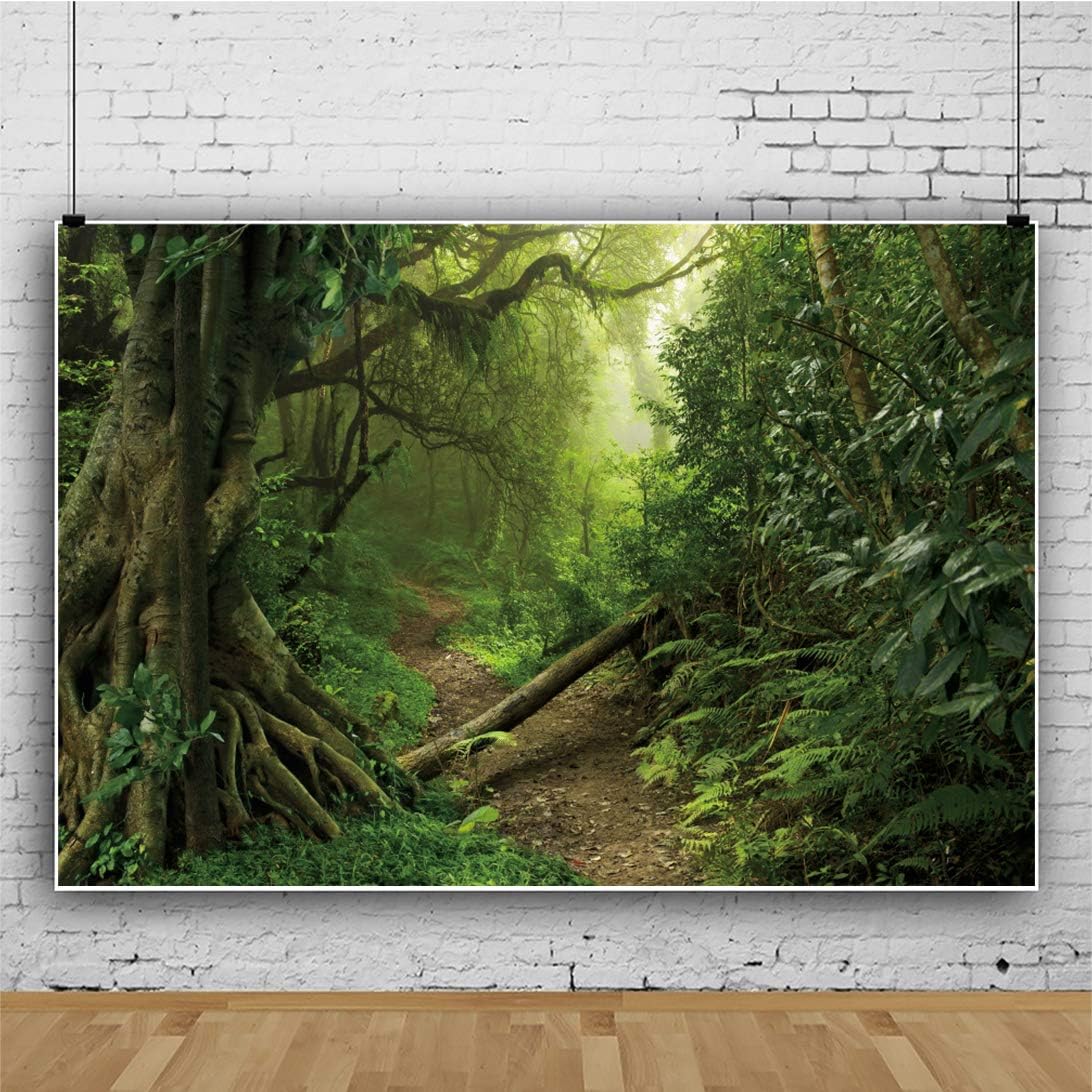 Apo7 Ch Accessories Camera Photo Accessories Oerju 5x3ft Forest Backdrop Old Trees Woodland Mud Path Photography Background For Photoshoot Kids Boys Girls Adults Artistic Adventure Portrait Photo Studio Props Video Making Vinyl