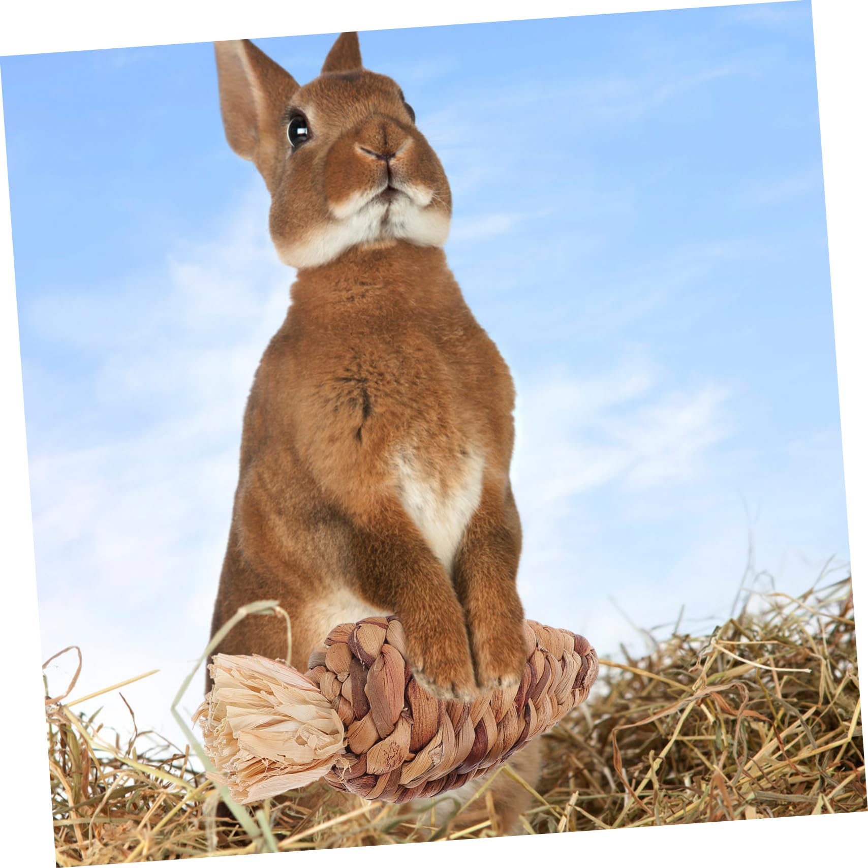 Milisten Hamsterspielzeug Karotte 3 Stück aus Gras für Kleine Haustiere