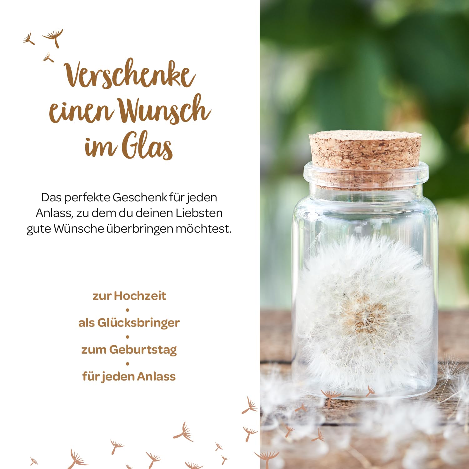 Die Stadtgärtner – Wunscherfüller I Echte Pusteblume im Glas I Ewig haltbar I Perfekte Geschenkidee für jeden Anlass I Geschenke für Frauen & Freundin