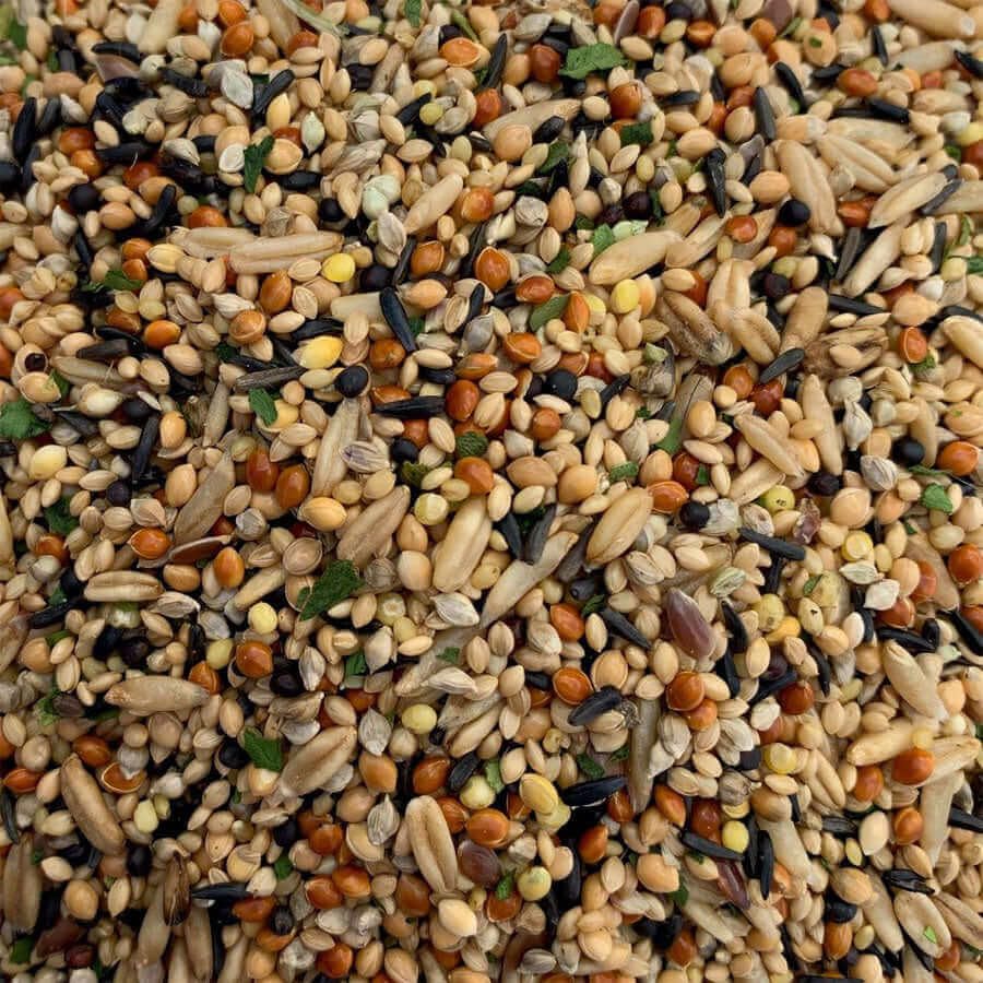 Birds Mini World Daily Seed Blend with Grains, Nuts and Advance Nutrition for Finch Sparrow Canaray Java, Dove 475 g