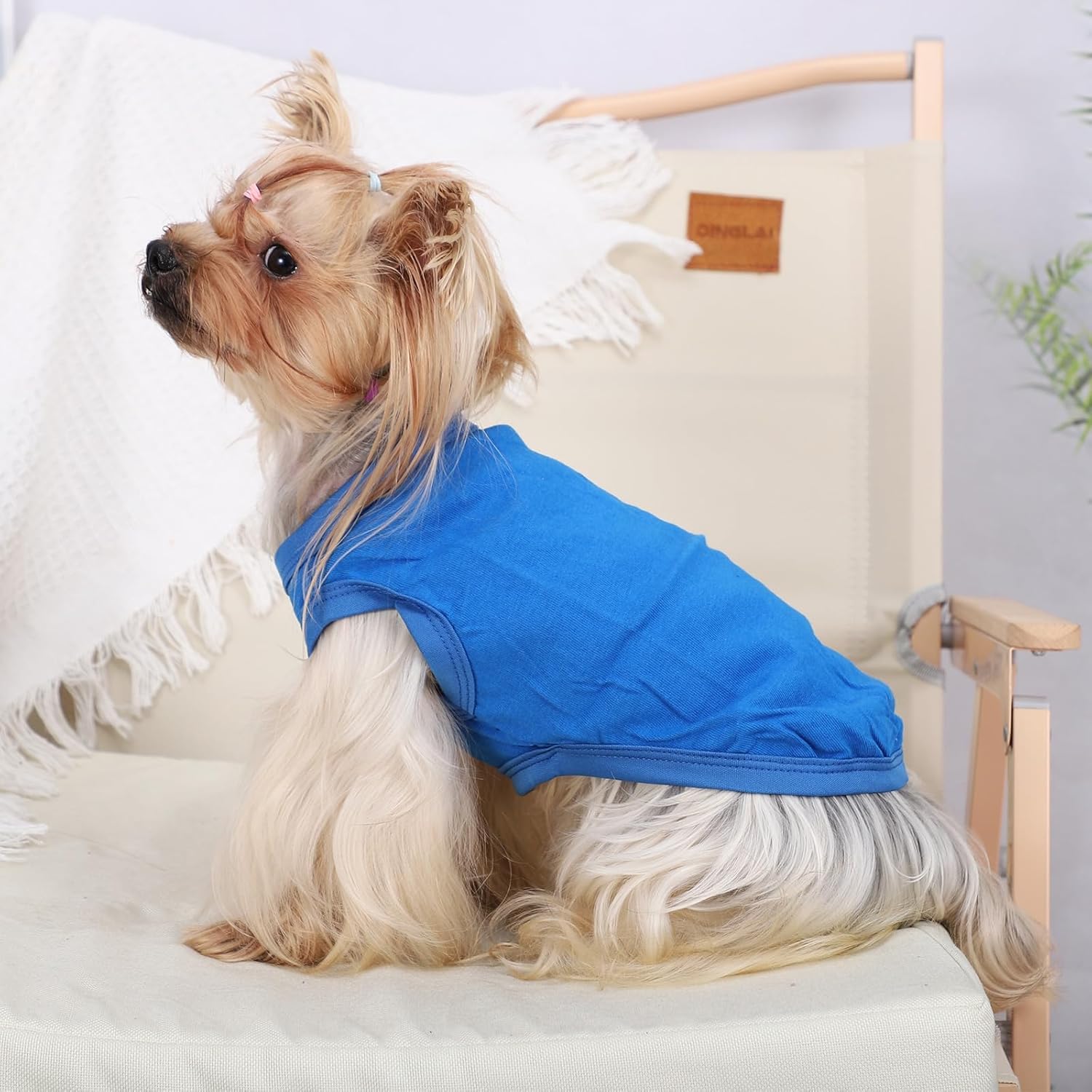 Gilet Rafraîchissant pour Chien,Gilet de Refroidissement pour Chien, Gilets pour Chiens Frais Et Confortable pour L'Été, Adapté Aux Chiens de Petite Et Moyenne Taille/Bleu M