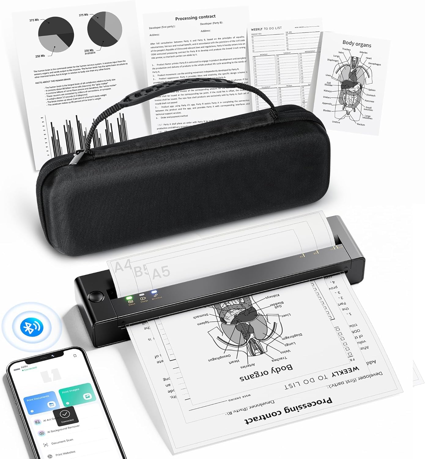 TATTMUSE Thermodrucker A4 Kit Unterstützt das Format A4/A5/B5, Bluetooth Mobiler Drucker, Lernen, Tragbarer Drucker Kompatibel mit Phone, Monochromer Reisedrucker Nur
