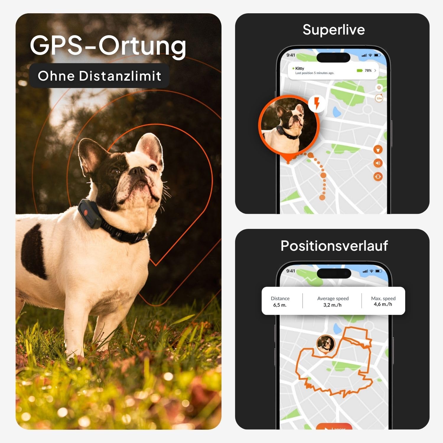Weenect Hund XS – Mini GPS-Tracker für Hunde | Echtzeit-Tracking | Wasserdicht | Kleinstes Modell auf dem Markt | Funktioniert mit Abonnement