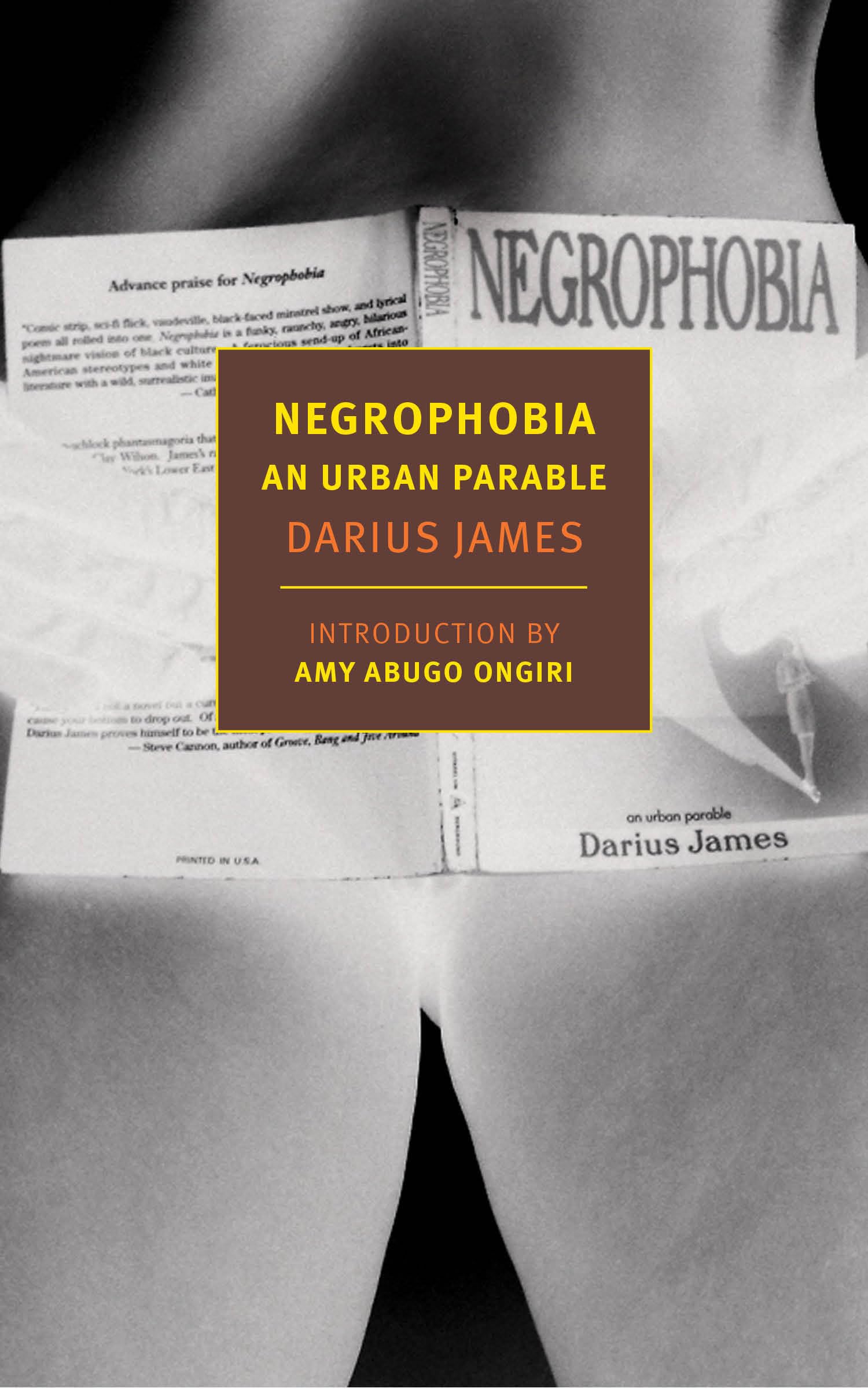 Negrophobia: An Urban Parable (New York Review Books Classics)