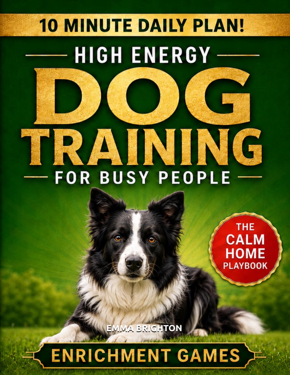 High-Energy Dog Training for Busy