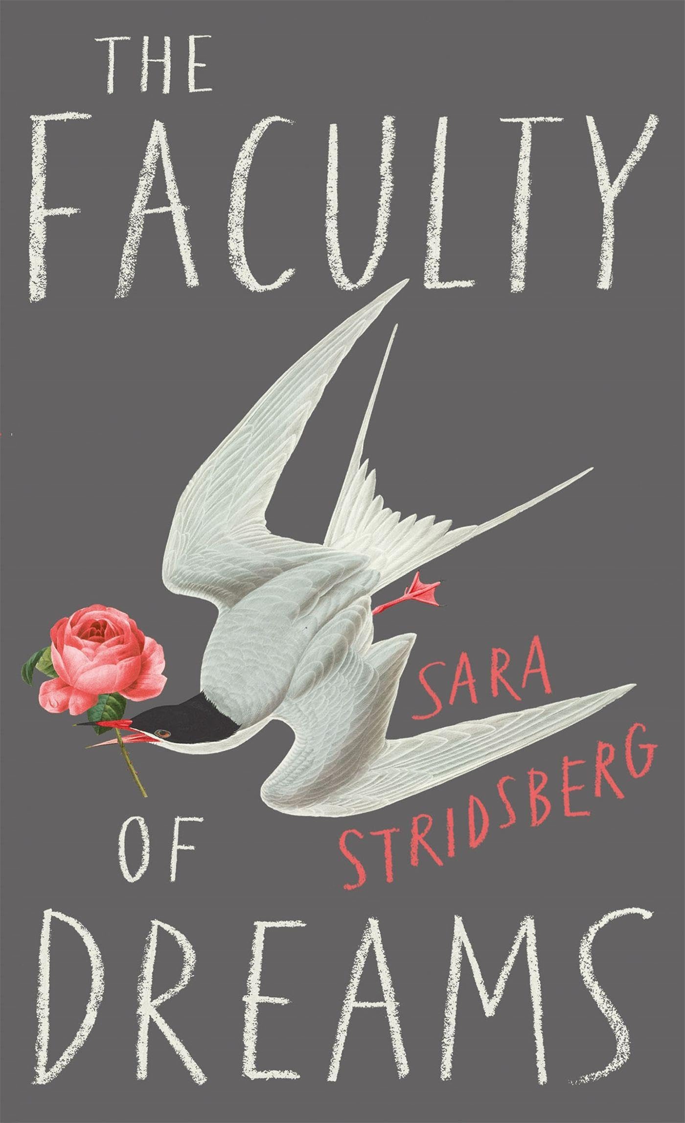 The Faculty of Dreams by Sara Stridsberg (Paperback Book)