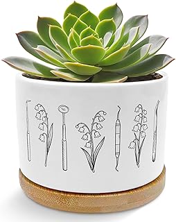 Dental Gifts for Coworkers Women Planter Pots, Gifts for Dentists, Vinta...