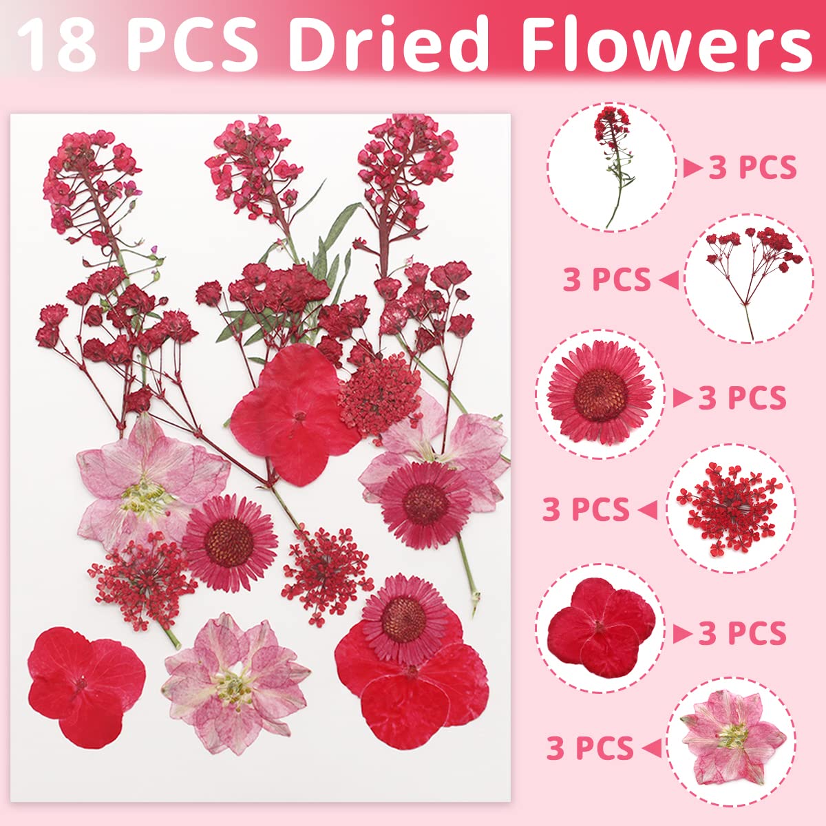54 flores y hojas secas prensadas naturales secas verdes con pinzas para velas, resina, joyas, jabón, clavos, colgante, funda para teléfono móvil, manualidades, flores