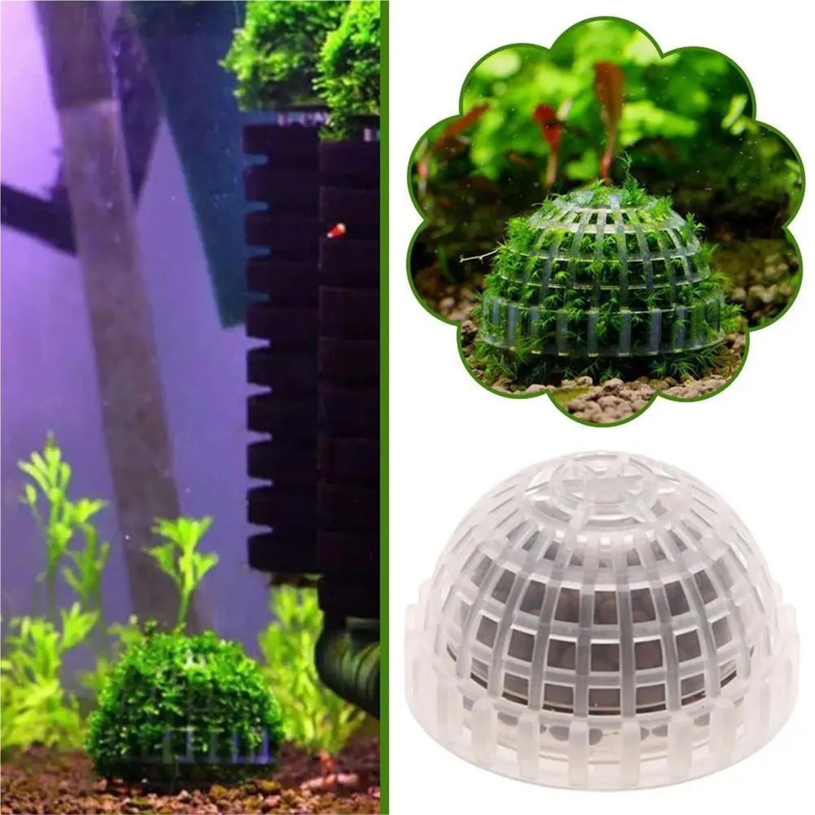 Acuario Decoración Plantas Bio Moss Ball Holder para Acuario | Accesorios de filtro de decoración for pecera, casa de camarones rojos cristalinos, for acuario(5PCS)