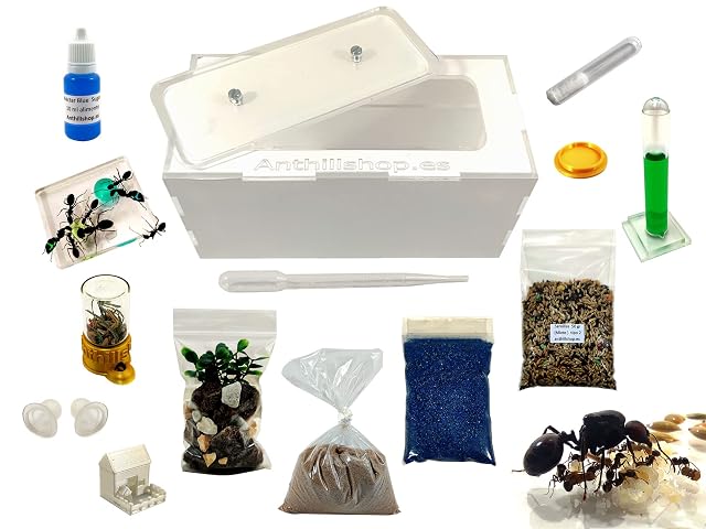 Foto 2 de 8 de ANTHILLSHOP -Hormiguero de Arena Natural acrílico 1- Con hormigas incluidas┃de 20-30 hormigas