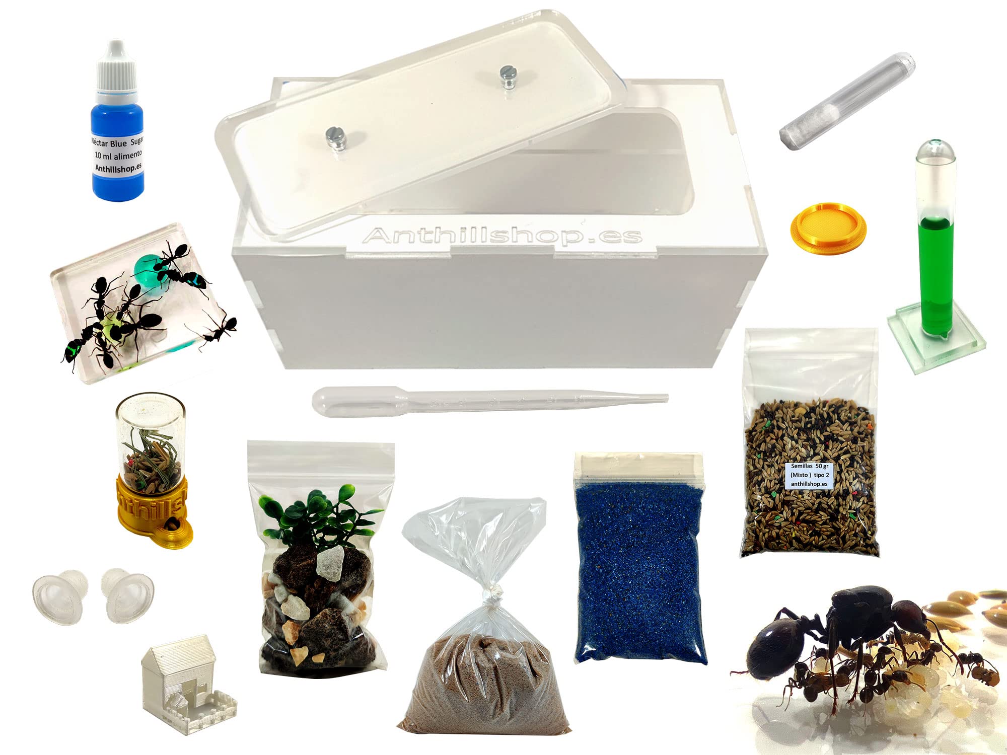 Anthillshop. pl - Mrówkojnik naturalny piasek akrylowy 1- Z mrówkami w zestawie┃20-30 mrówek.