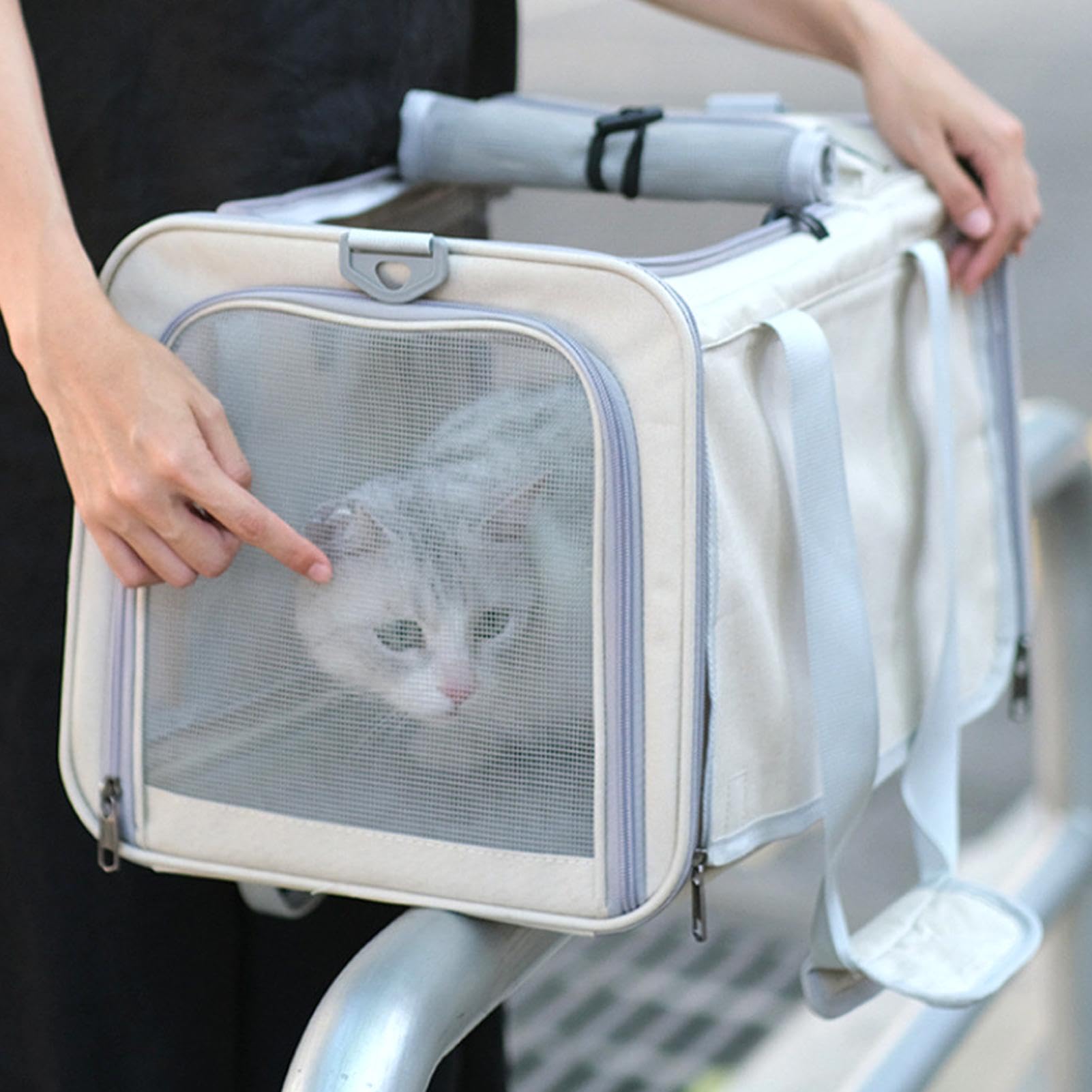 Trasportino da auto per animali domestici: tracolla, borsa per animali