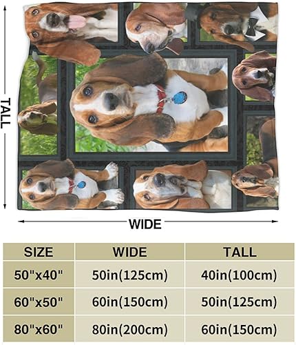 Miniatura 10 de Lindo Clever Golden Retriever - Manta con estampado de perro dorado ultrasuave para el hogar, manta decorativa para sala de estar, cama, sofá