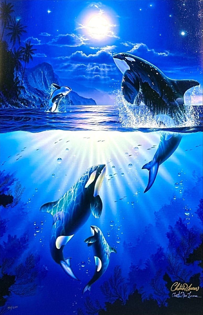 Amazon.co.jp: ラッセンミスティックオルカアイリスリプリグラフ人気