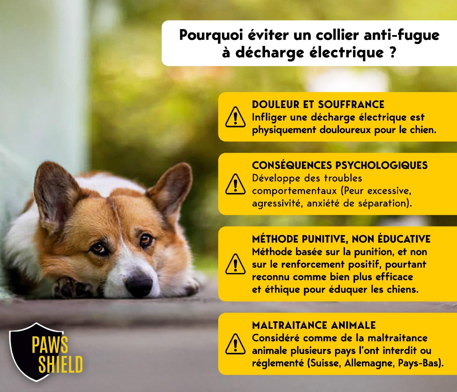 Collier Anti Fugue Chien + Cloture Electrique Chien | Collier de Dressage avec Système de Clôture Invisible | Étanche avec Vibration & Signal Sonore | Système de Sécurité Extérieure