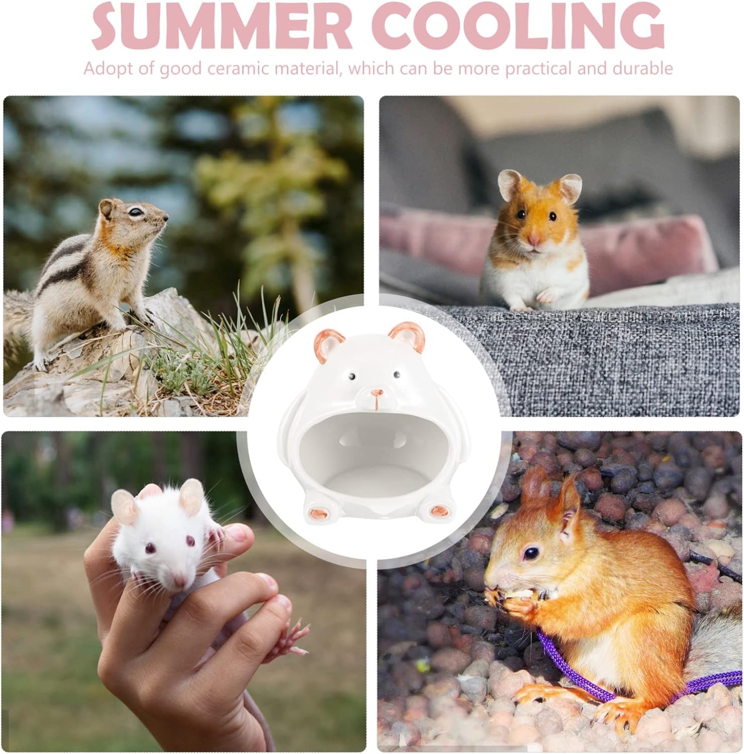 Maison rafraîchissante en céramique pour hamster - Pour l'été - Cachette sûre pour petits animaux - Sable de hérisson (ours)