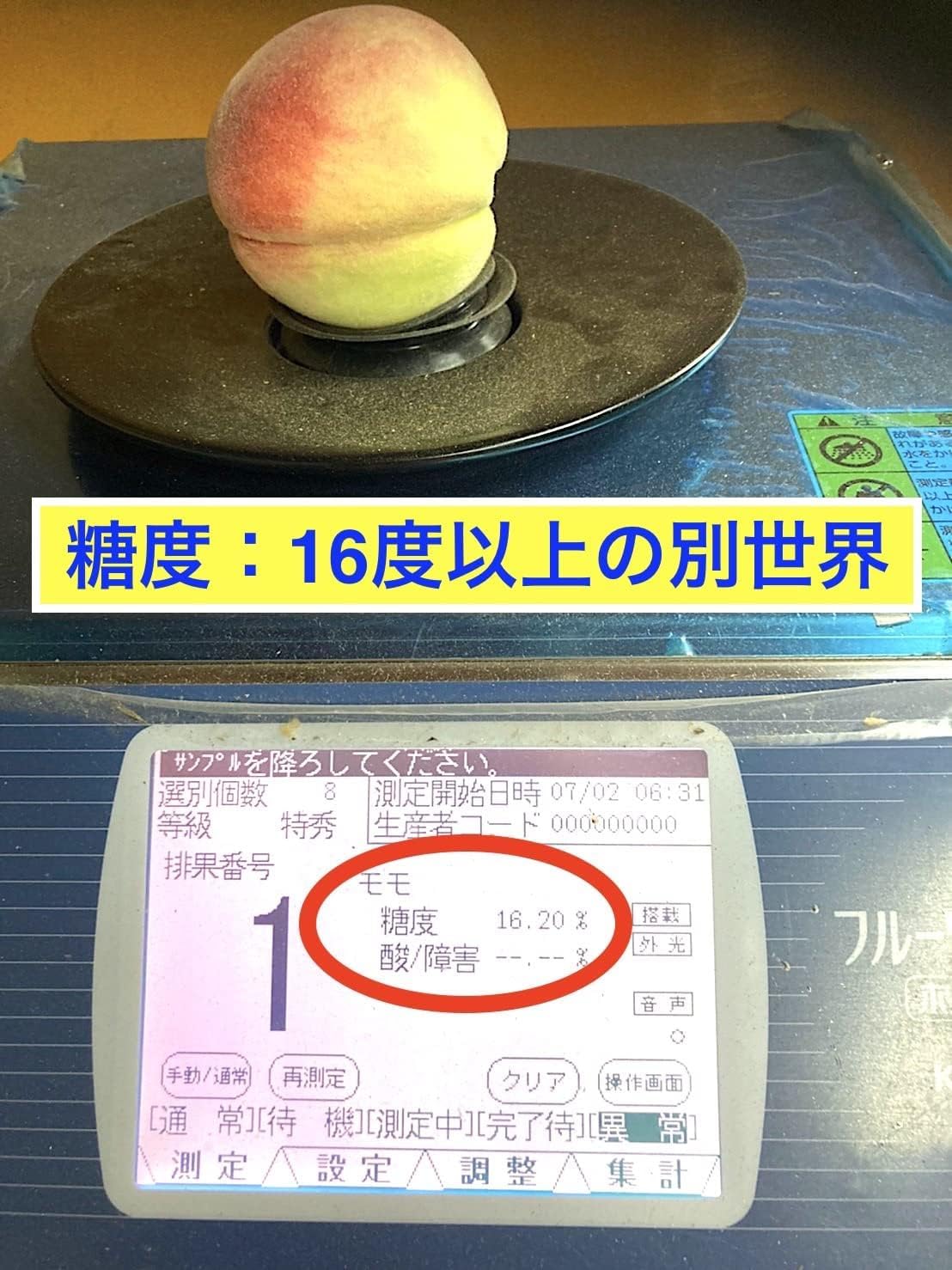 Amazon.co.jp: 【 別格 糖度16度の別世界 】超大玉 5-6入 約2kg