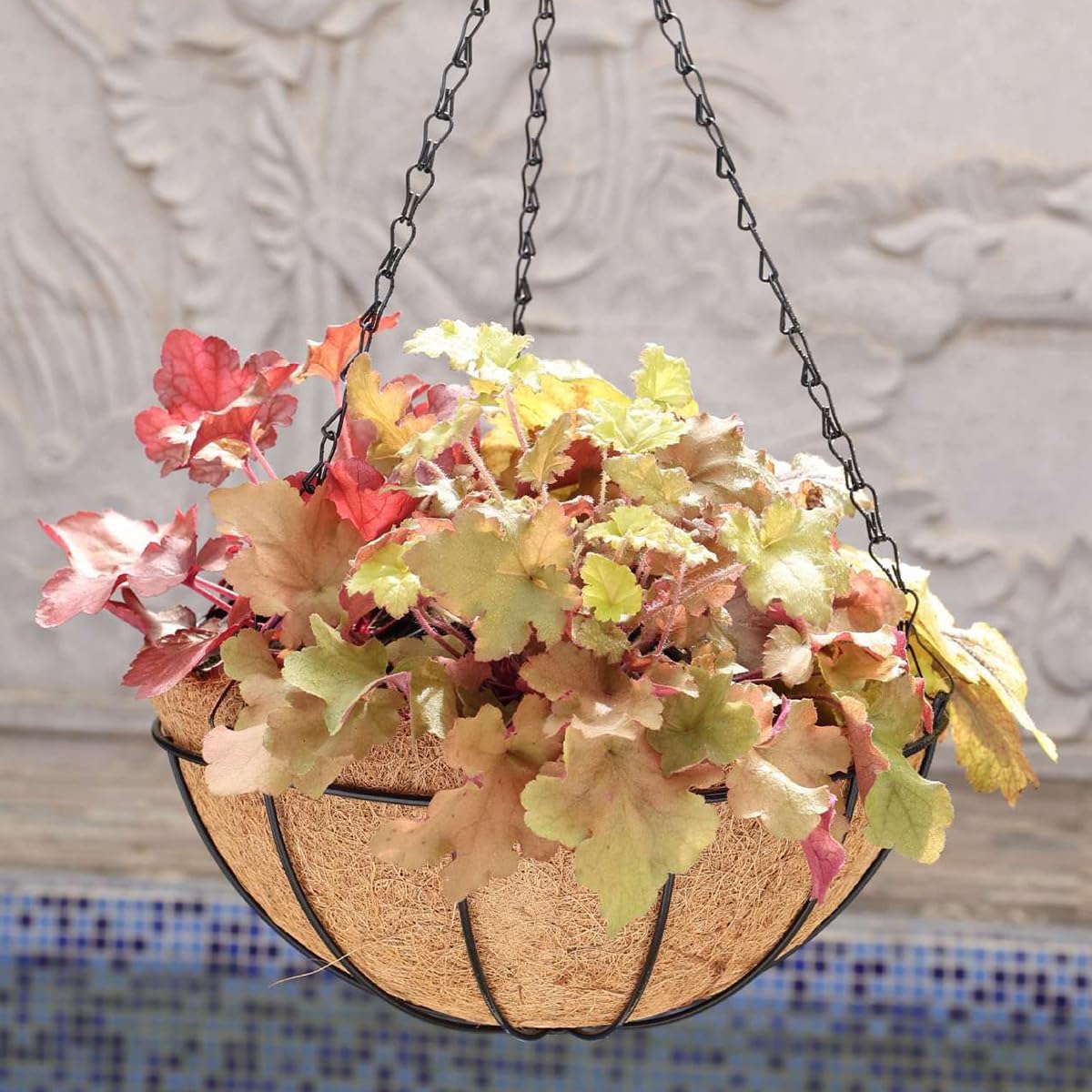 Free-Air 10 Inch Metal Hanging Planter Basket with Coir Liner 2 Pack,Iron Baskets for Plants Indoor Outdoor Chain,Large Wire Plant Holder Flower Pots Hangers Home Garden Balcony Decor-Round, Black