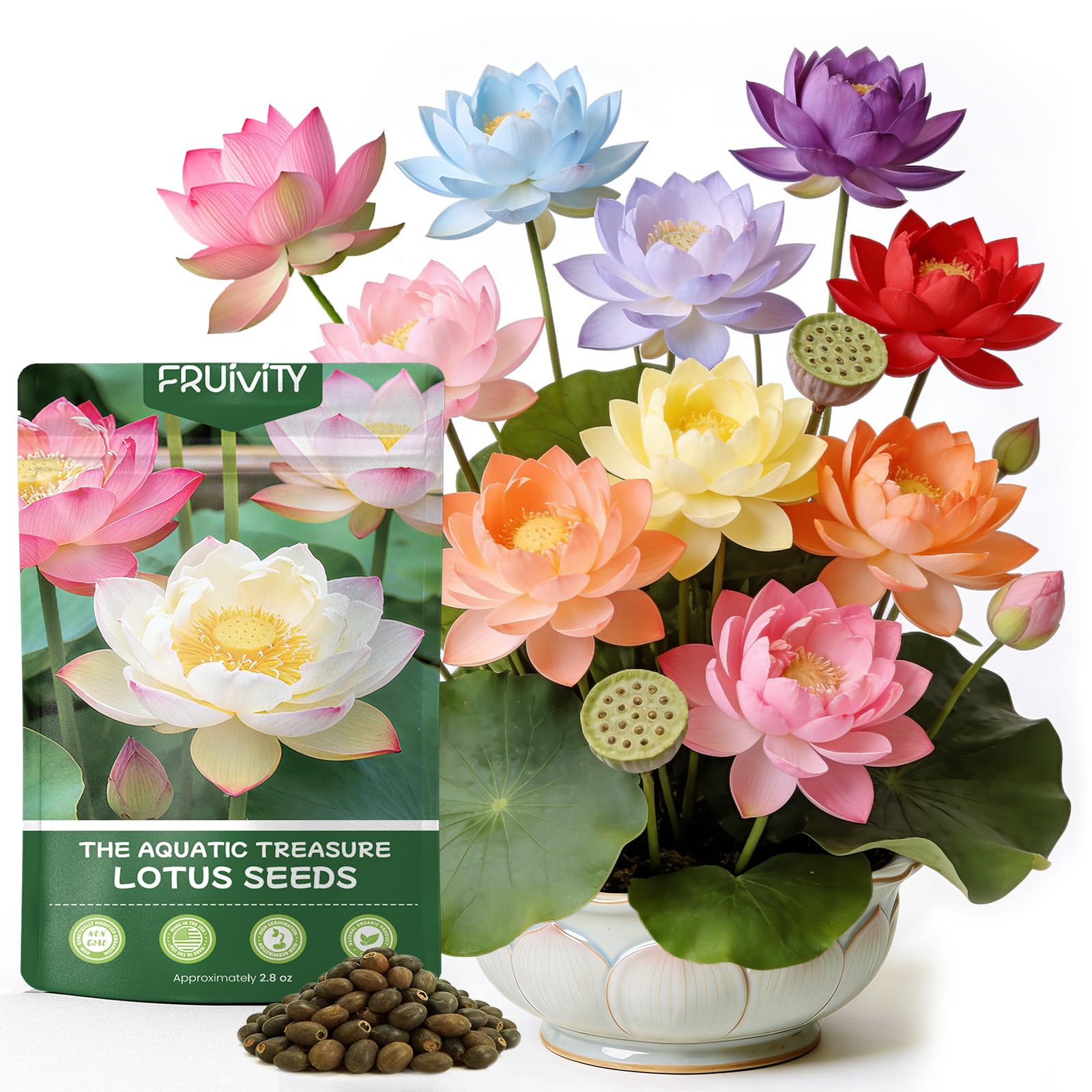 Photo 1 of 60 PCS Lotus Seeds for Planting in Water - Mixed Color Bowl Lotus Seeds, Aquatic Plant Water Lily Seeds for Indoor Bonsai, Outdoor Ponds & Garden