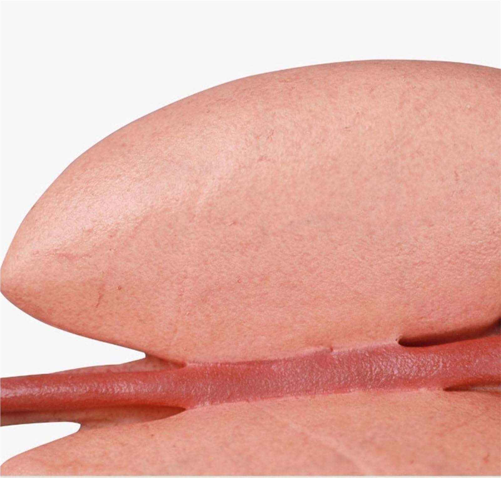 Zestaw do budowy anatomicznego modelu ludzkiego żołądka 3D z silikonu – edukacyjny model organu do użytku w placówkach opieki zdrowotnej, w tym w szkołach i wśród studentów
