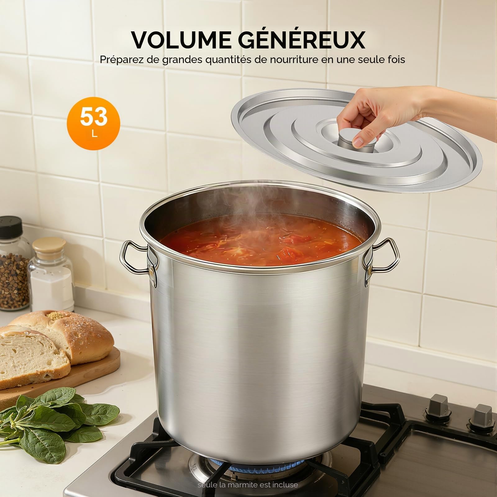 Marmite en acier inoxydable 50 l, faitout inox 50 Liters avec couvercle et poignées, grande casserole pour la conservation de la chaleur pour la famille et le restaurant(50 l)