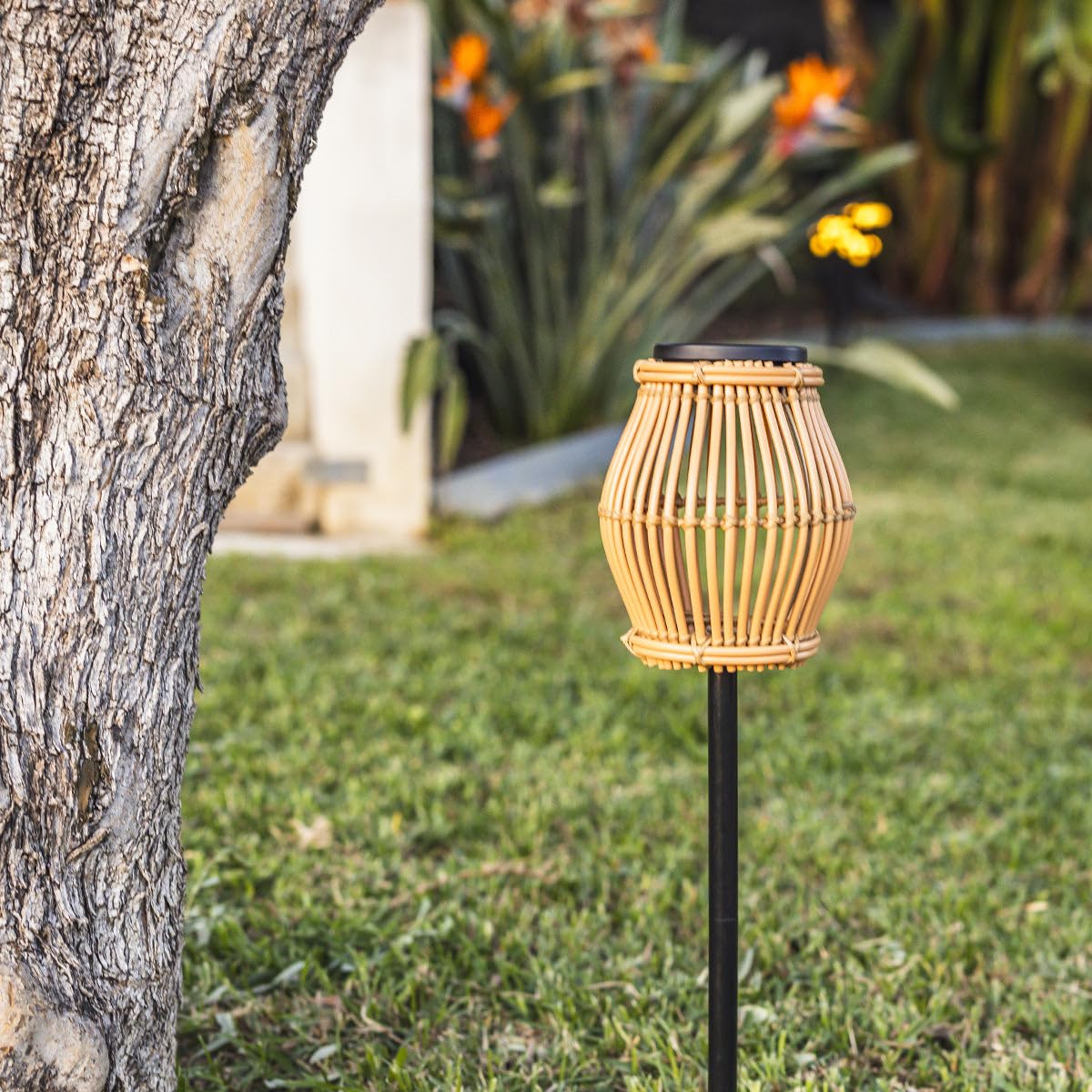 SILVINA H 70cm Naturalna lampa solarna LED z pilotem