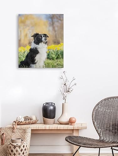 Miniatura 3 de YEEIFFD Kits de pintura de diamantes para adultos, Border Collie Perros DIY 5D Redondo Completo Taladro Diamante Puntos Pintura con Diamantes