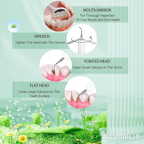 Miniatura 3 de Removedor de placa profesional para dientes, herramienta limpiadora de dientes con tecnología de sensor inteligente y segura, 4 cabezales